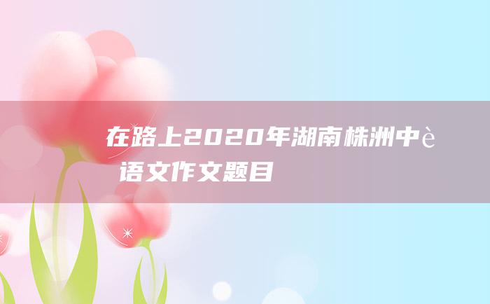 在路上 2020年湖南株洲中考语文作文题目