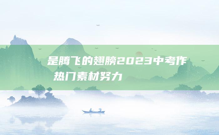 是腾飞的翅膀 2023中考作文热门素材 努力