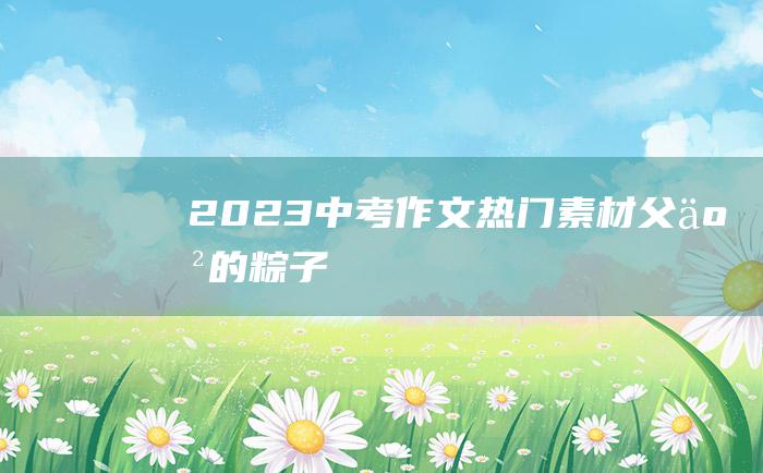 2023中考作文热门素材父亲的粽子