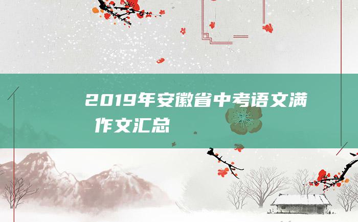 2019年安徽省中考语文满分作文汇总