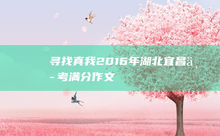 寻找真我 2016年湖北宜昌中考满分作文