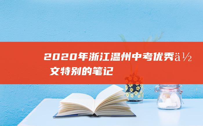 2020年浙江温州中考优秀作文特别的笔记