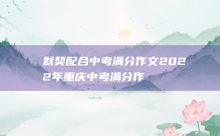 默契配合中考满分作文2022年重庆中考满分作