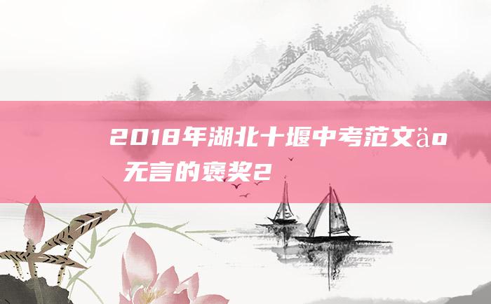 2018年湖北十堰中考范文二 无言的褒奖 2