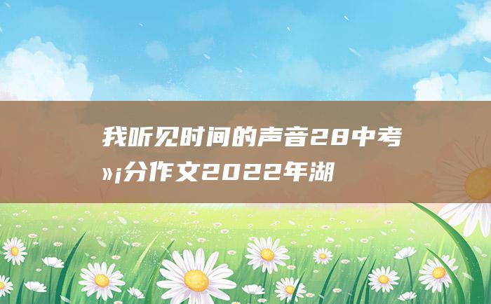 我听见时间的声音28中考满分作文2022年湖