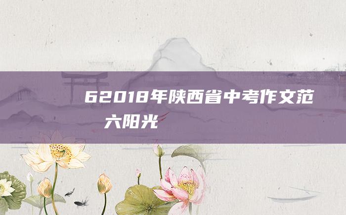 62018年陕西省中考作文范文六阳光