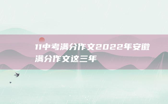 11中考满分作文2022年安徽满分作文这三年