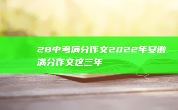 28 中考满分作文2022年安徽满分作文 这三年离我最近的那个人