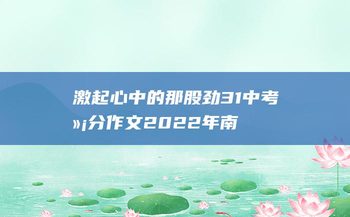 激起心中的那股劲31中考满分作文2022年南