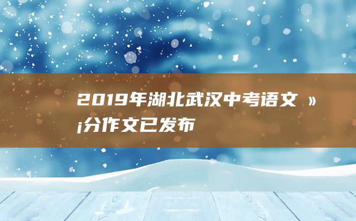 2019年湖北武汉中考语文满分作文 已发布