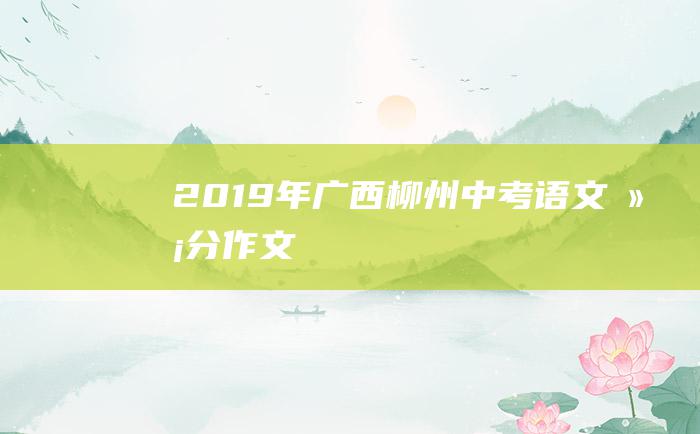 2019年广西柳州中考语文满分作文