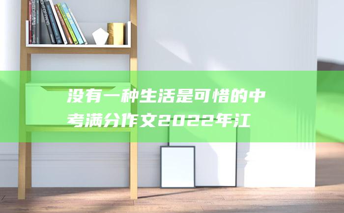 没有一种生活是可惜的中考满分作文2022年江