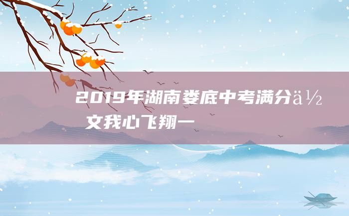 2019年湖南娄底中考满分作文我心飞翔一