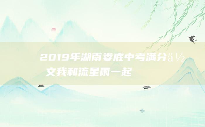 2019年湖南娄底中考满分作文 我和流星雨一起飞翔