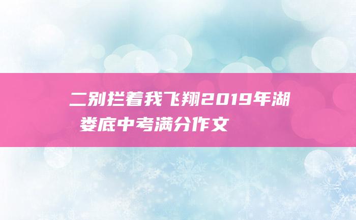 二 别拦着我飞翔 2019年湖南娄底中考满分作文