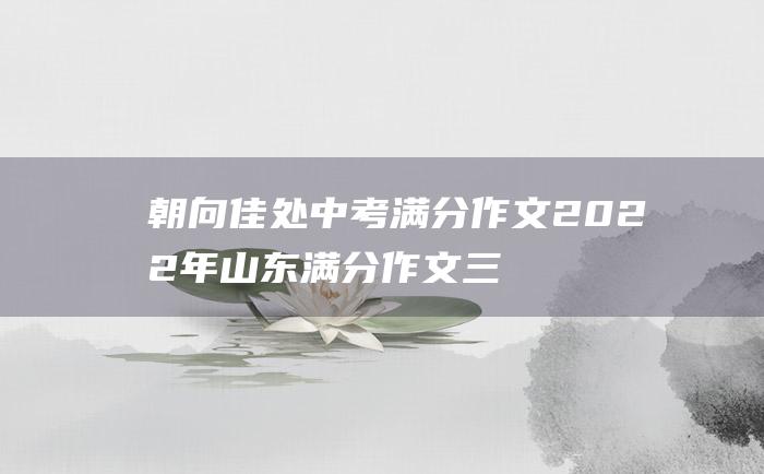 朝向佳处 中考满分作文2022年山东满分作文 三十五 放步去走