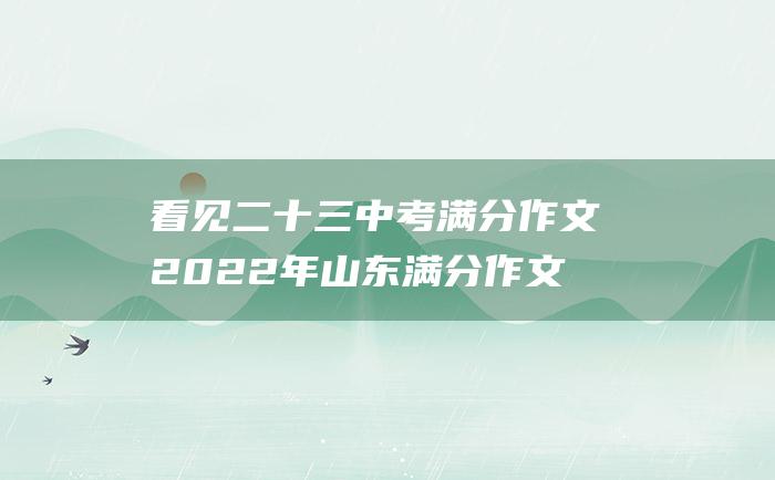 看见二十三中考满分作文2022年山东满分作文