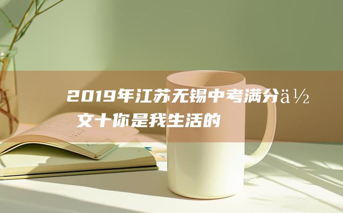 2019年江苏无锡中考满分作文十你是我生活的