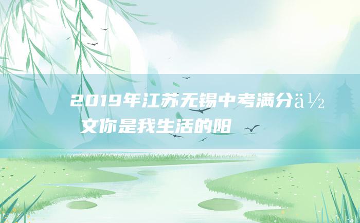 2019年江苏无锡中考满分作文你是我生活的阳