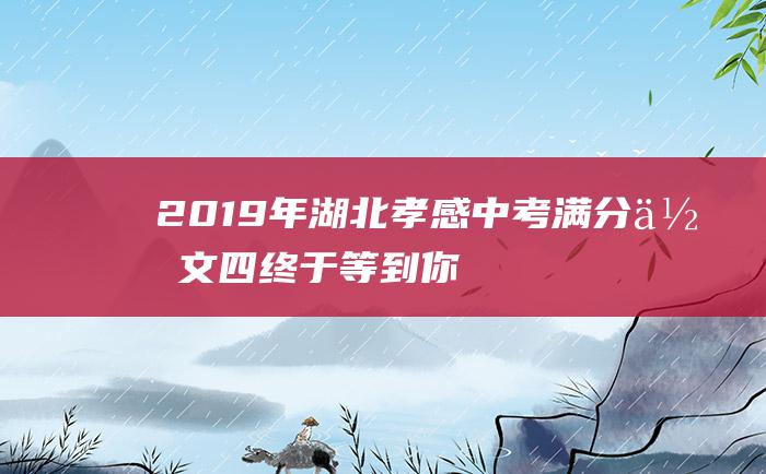 2019年湖北孝感中考满分作文 四 终于等到你