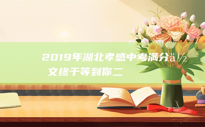 2019年湖北孝感中考满分作文 终于等到你 二