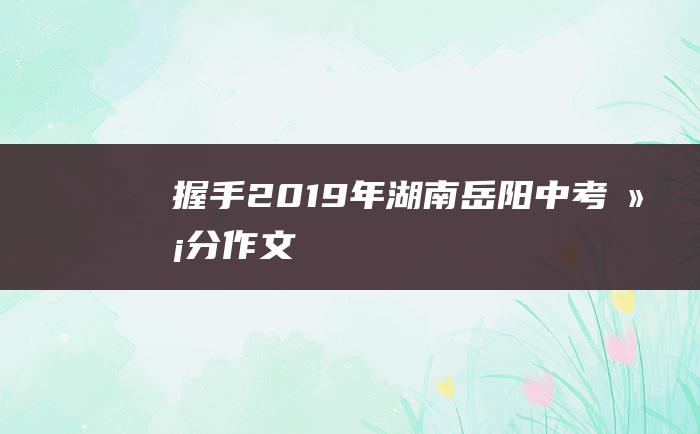 握手2019年湖南岳阳中考满分作文