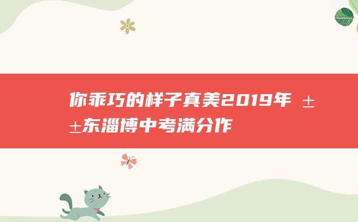 你乖巧的样子真美 2019年山东淄博中考满分作文