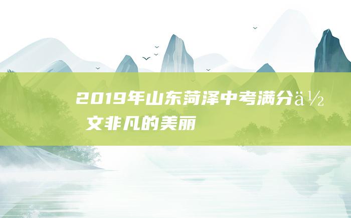 2019年山东菏泽中考满分作文 非凡的美丽