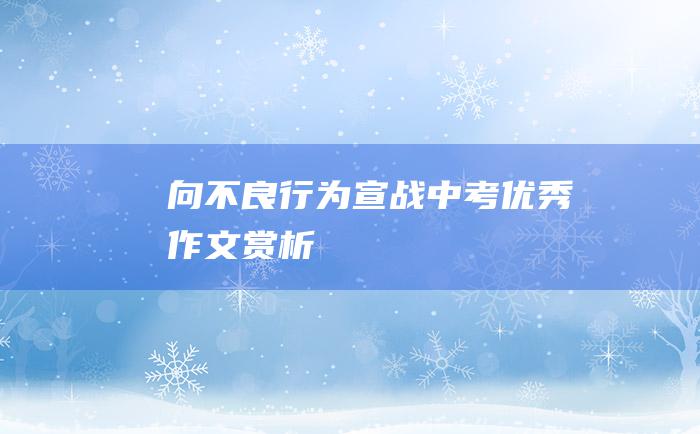 向不良行为宣战 中考优秀作文赏析