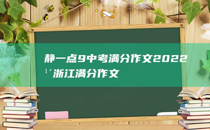 静一点9 中考满分作文2022年浙江满分作文