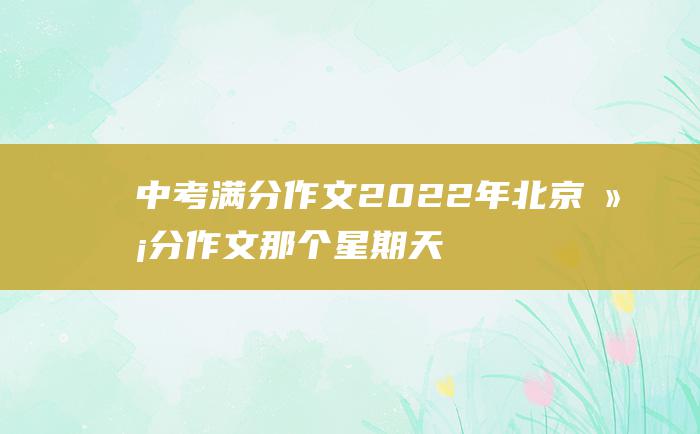 中考满分作文2022年北京满分作文 那个星期天14