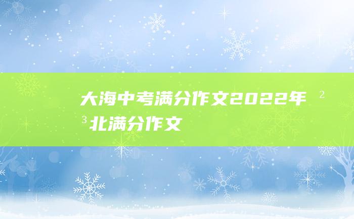 大海 中考满分作文2022年河北满分作文