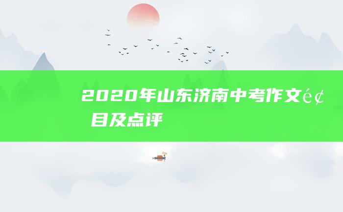 2020年山东济南中考作文题目及点评