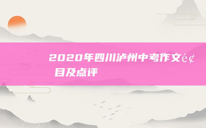 2020年四川泸州中考作文题目及点评