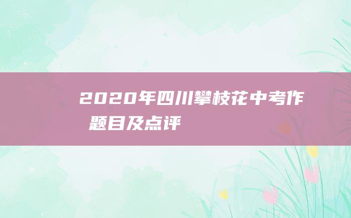 2020年四川攀枝花中考作文题目及点评