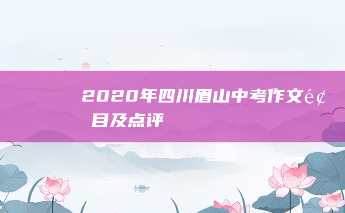 2020年四川眉山中考作文题目及点评