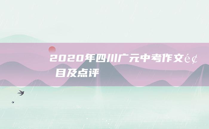 2020年四川广元中考作文题目及点评