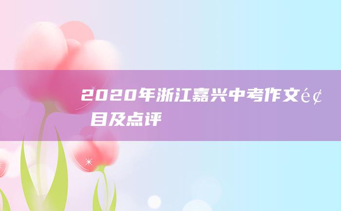 2020年浙江嘉兴中考作文题目及点评