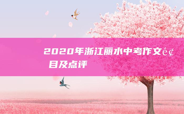 2020年浙江丽水中考作文题目及点评