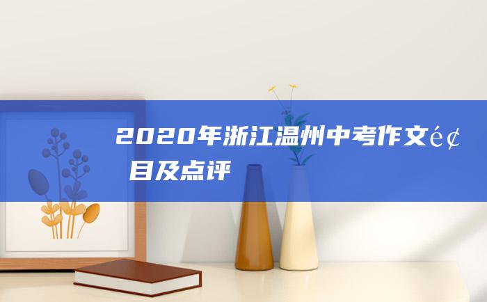 2020年浙江温州中考作文题目及点评