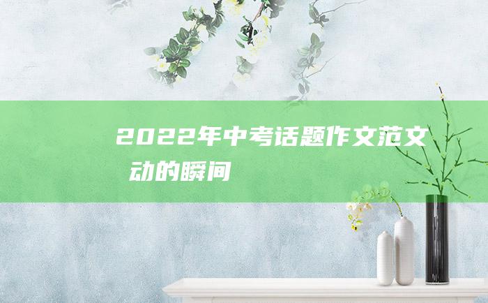 2022年中考话题作文范文 感动的瞬间