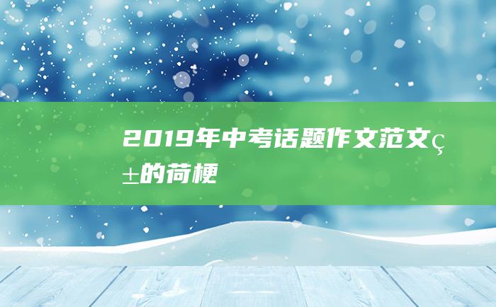 2019年中考话题作文范文 爱的荷梗