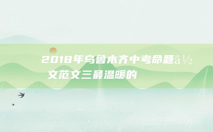 2018年乌鲁木齐中考命题作文范文三 最温暖的陪伴