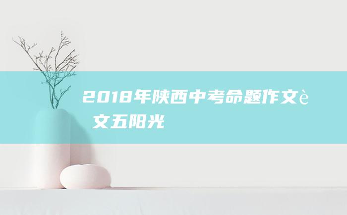 2018年陕西中考命题作文范文五 阳光