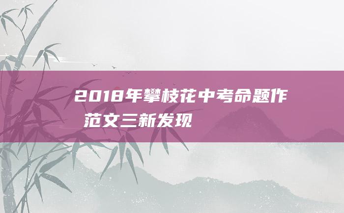 2018年攀枝花中考命题作文范文三 新发现