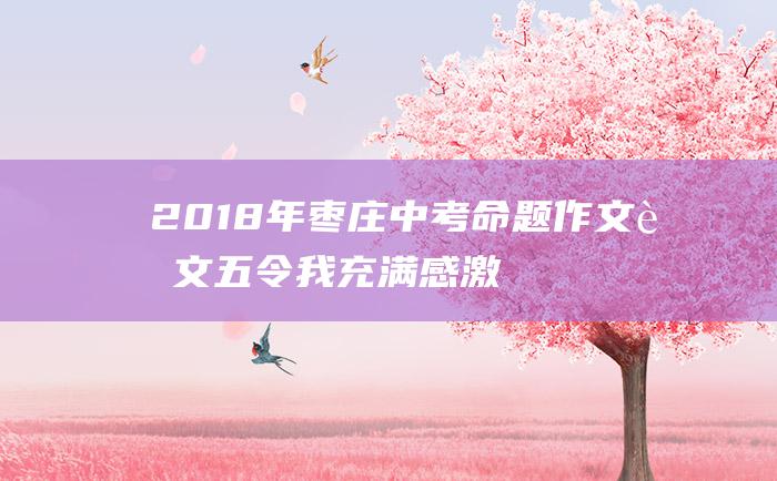 2018年枣庄中考命题作文范文五令我充满感激