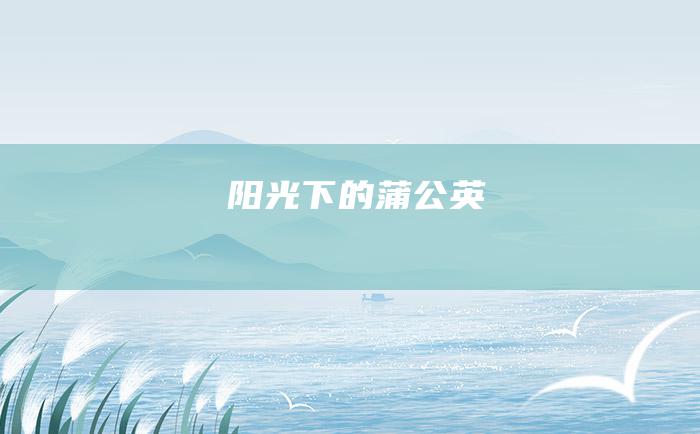 阳光下的蒲公英