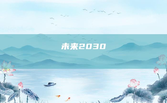 未来2030