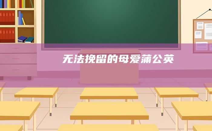 无法挽留的母爱 蒲公英