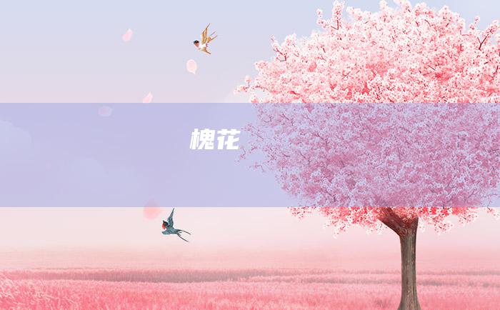 槐花